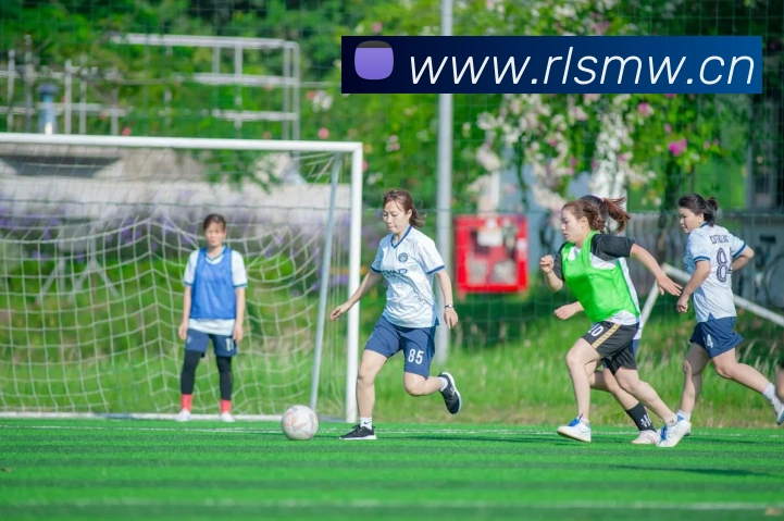 人人体育app官网入口登录平台生态图